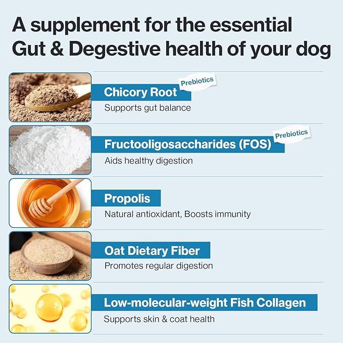 Dr,by Squeeze Probiotics for Dogs - Gut Health, Skin & Coat, Immune Support - Lickable Treat Supplement - 30 Tubes (14.81 oz)