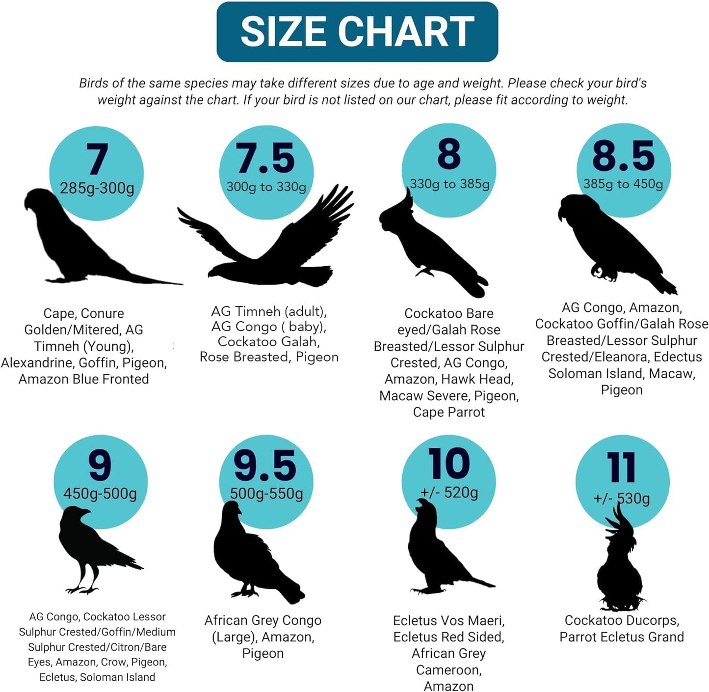 Bev's Birds Boutique - Regular Flyper, Tuxedo Time Size 7.5