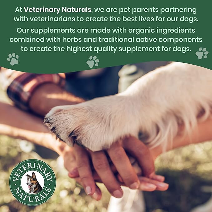 Vet Naturals Hemp & HIPS - Dog Joint Supplement Large Breed - Senior Dog Supplements - Glucosamine and Chondroitin Supplement for Large Dog - MSM & USA Grown Hemp Oil (60ct-Rotisserie Chicken)