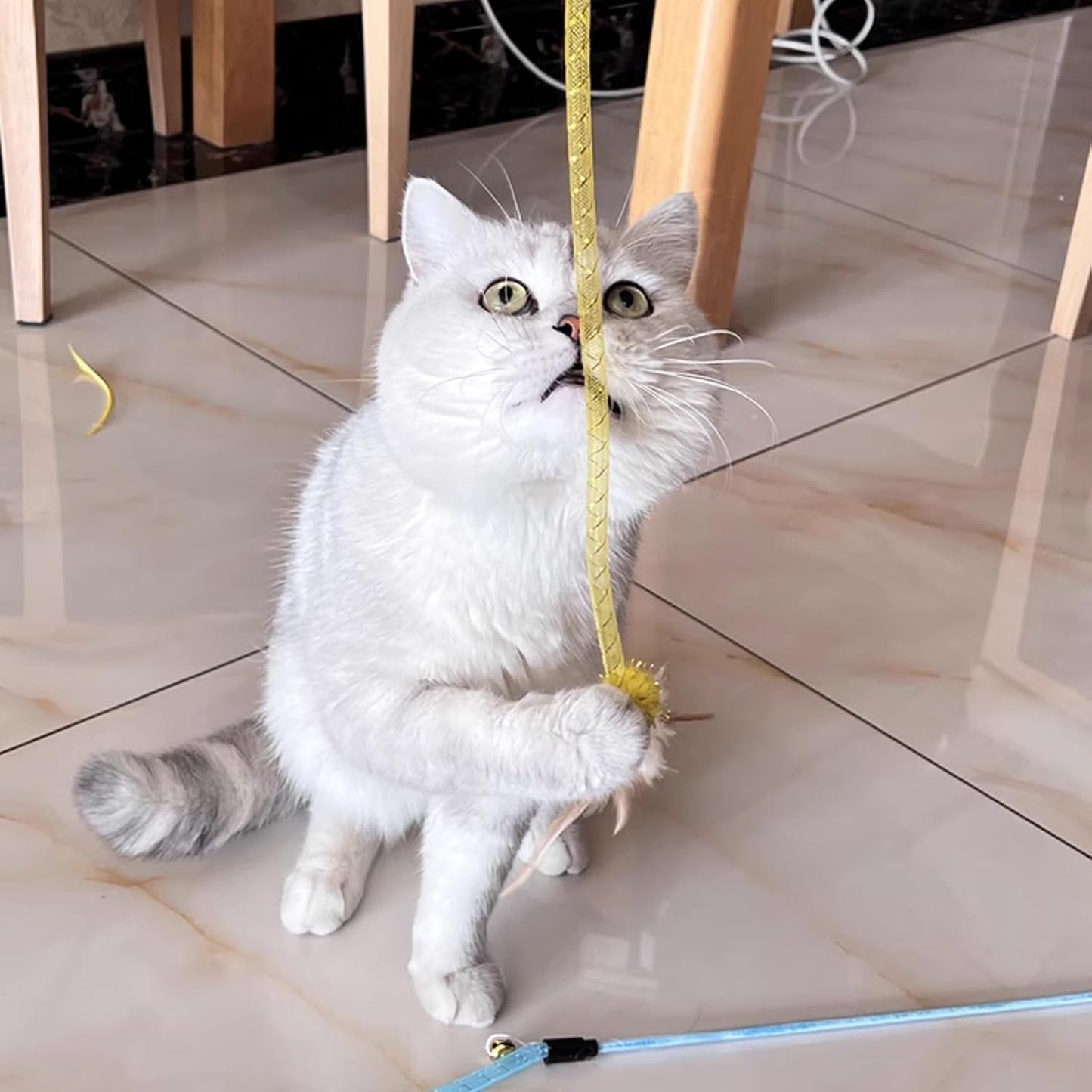 IUHKBH Cat Wands, 3 Colors Mesh Tube Teaser Toys Cute Kitten Wand Interactive Kitty Toy Safe Cat Stuff for All Breed Sizes