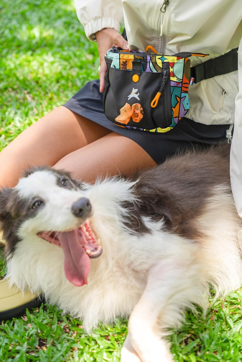 OllyDog Backcountry Day Bag | Hands-Free Dog Training Treat Pouch | Fanny/Hip Pack with Zipper Closure & Built-in Poop Bag Dispenser | Removable Waist Clip (Cloud9)