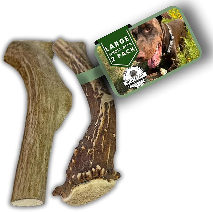 WhiteTail Naturals - Deer Antlers for Large Dogs - Long Lasting Antler Dog Chews - Crafted in USA, Naturally Shed Antler Dog Bones for Aggressive Chewers (Large (Pack of 2))