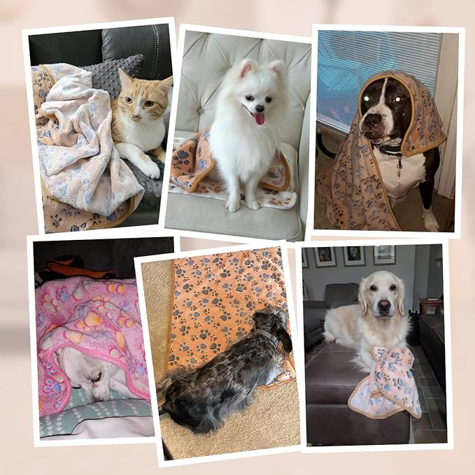 Pet Soft 1 Pack 3 Pet Blankets for Dogs - Fluffy Cats Dogs Blanket for Small Medium & Large Dog, Cute Print Pet Throw Puppy Blankets Fleece (Paws, 3S)