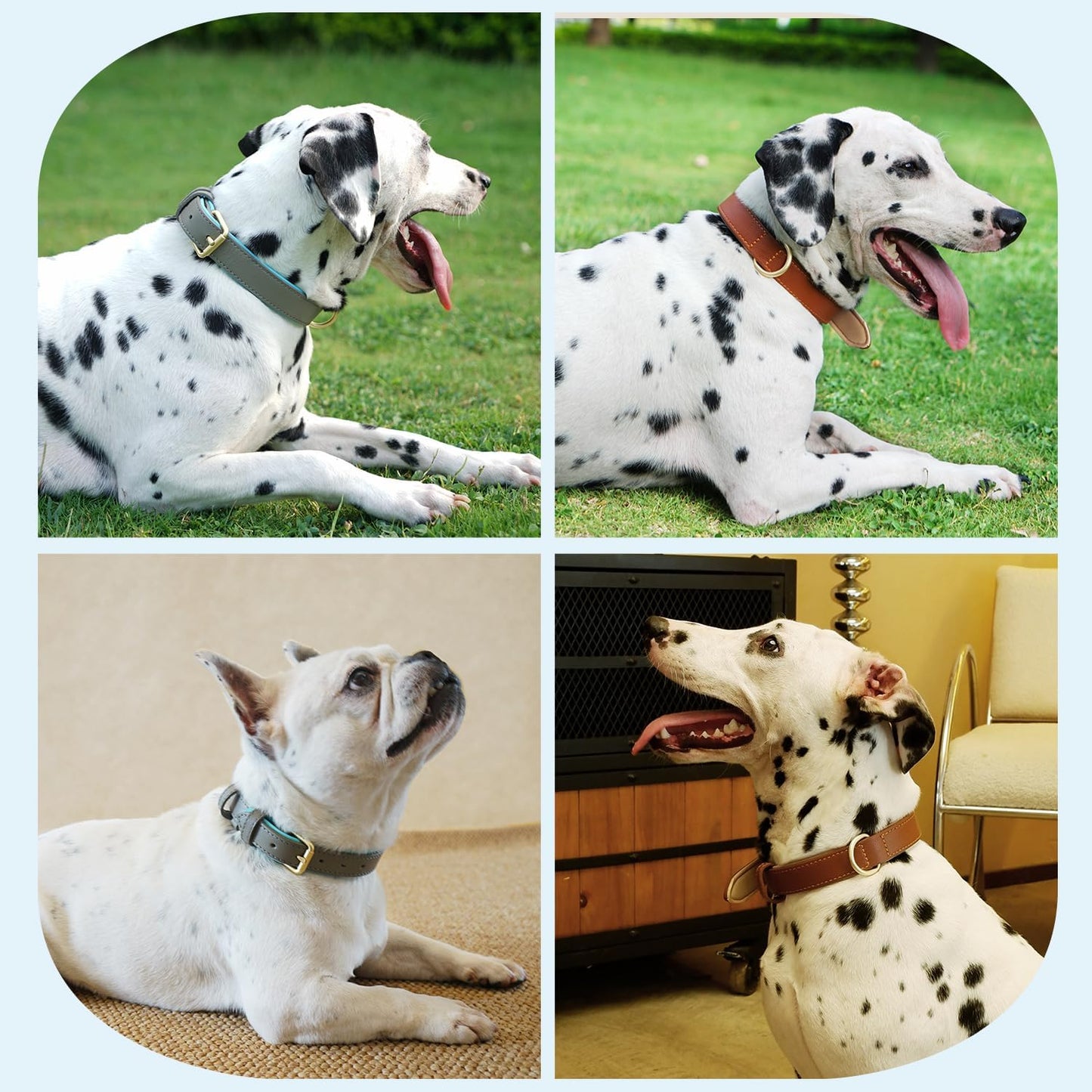 Dog Collar Soft Padded Heavy Duty Strong Collars Comfortable Basic Pet Collar with Adjustable Rust-Proof Metal Buckle Best Gift for Large Grey Collar-L