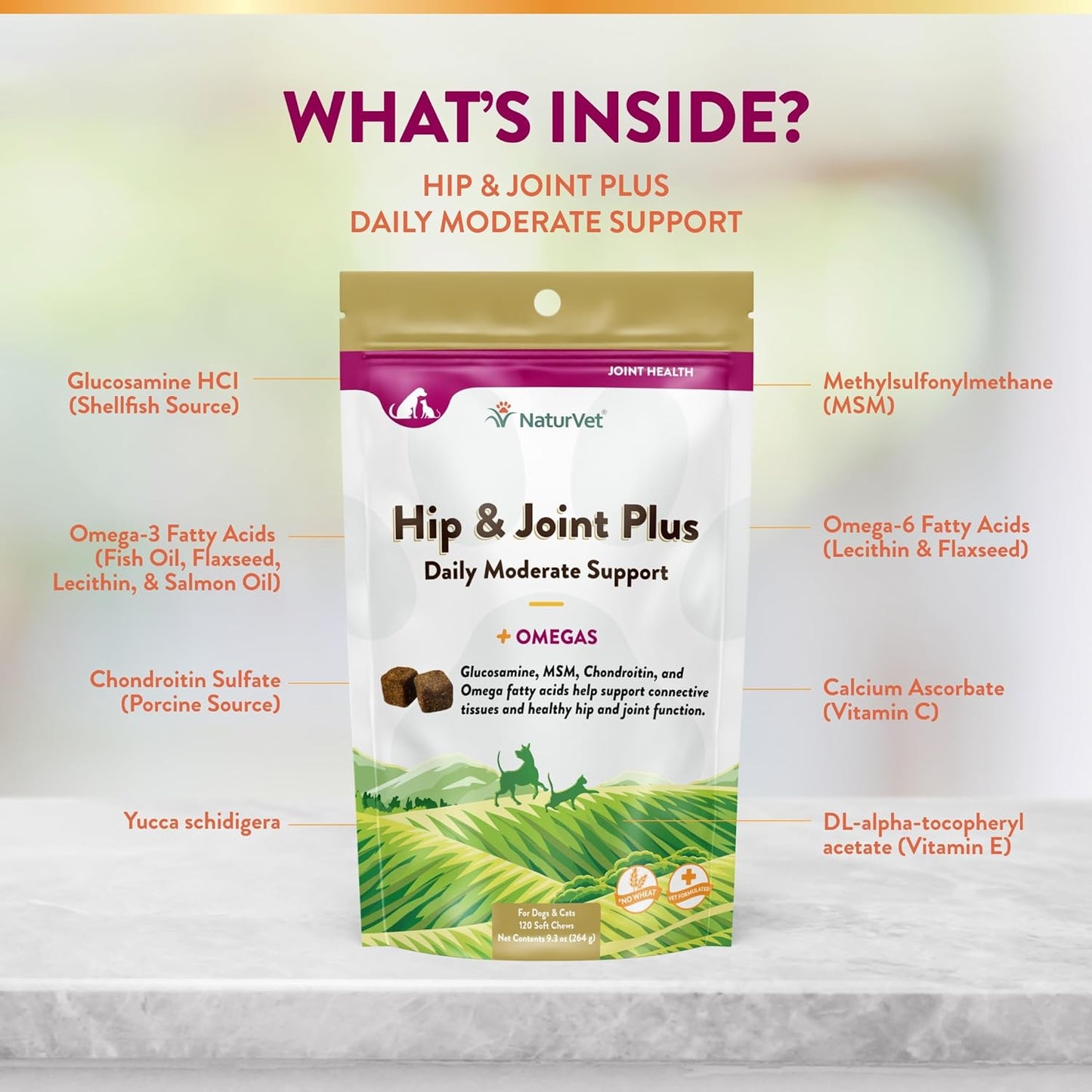 NaturVet Hip & Joint Plus Soft Chew (Bag) 120 ct