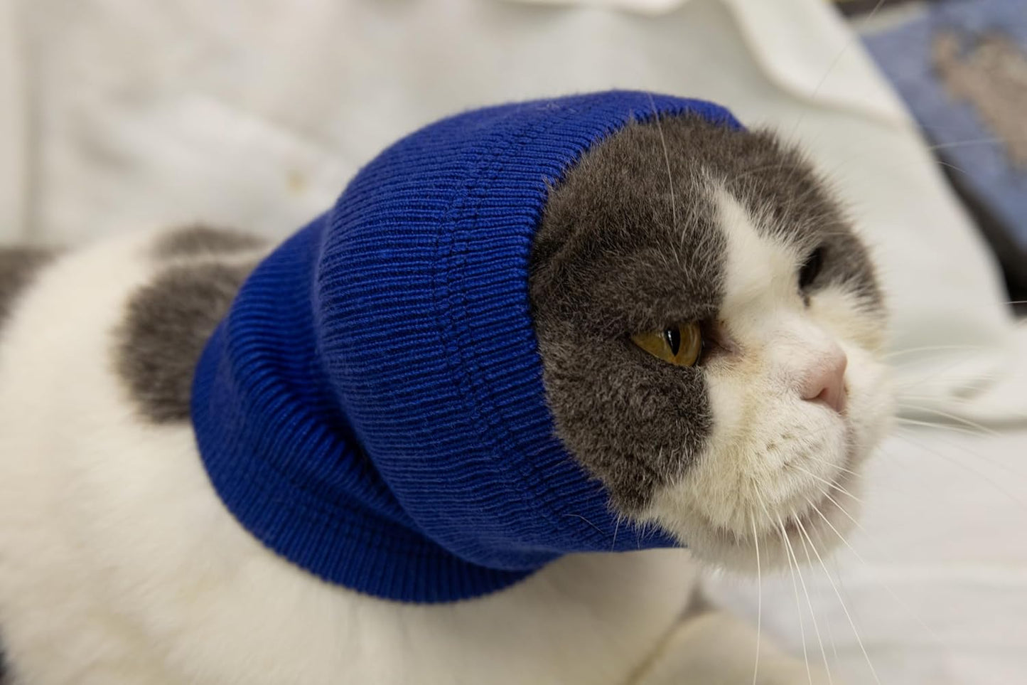 Cat Hematoma Ear Wrap,Cat Ear Wrap Anxiety Relief – Noise Canceling for Fireworks, Thunderstorms, Pet Grooming & Force Drying Blue S