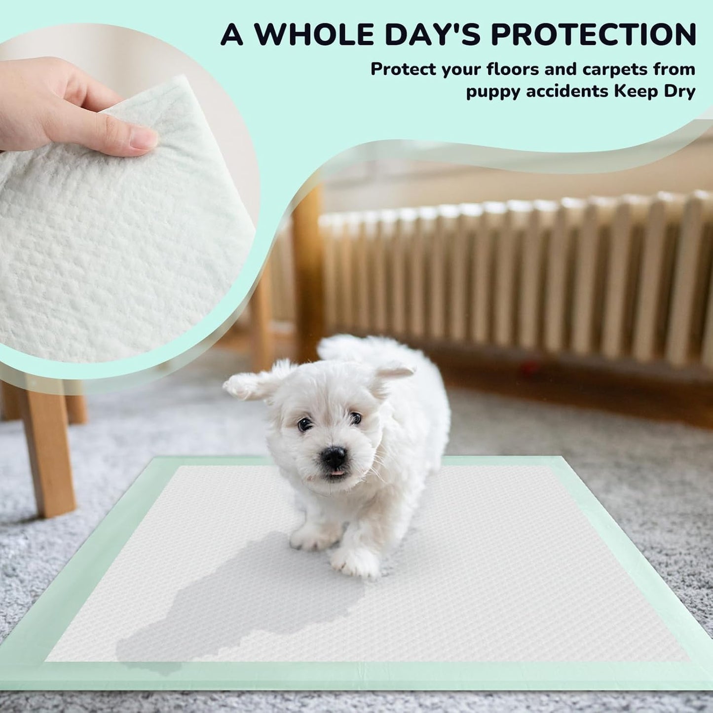 80PCS Pet Training and Puppy Pads - 24"x24" Disposable Waterproof Puppy Pee Pads - Maximum Absorption and Protection