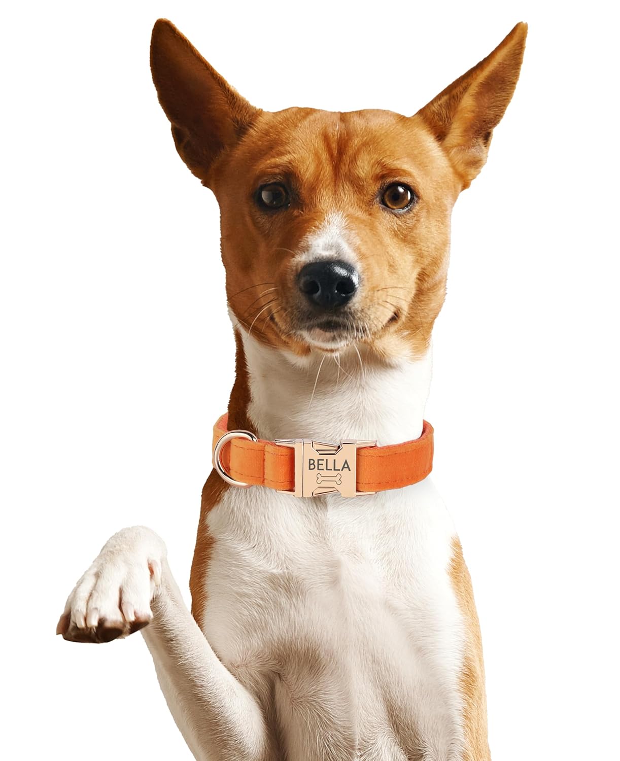 Custom Name Dog Collar, Engraved Personalized Dog Collar with Name on it and Phone Number, Quick Release Gold Metal Buckle, Poop Bag, Harness, Leash Available, Red, Black, Emerald, Pink, Luxury Soft Comfy Velvet Collar (Medium)