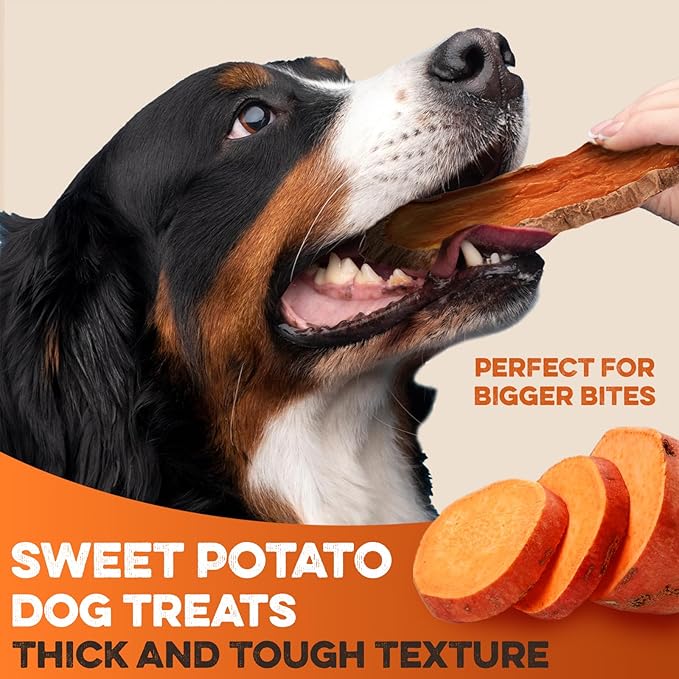 BRUTUS & BARNABY Sweet Potato Dog Treats – Support Sensitive Stomachs with USA-Grown, Hypoallergenic Treats That Smell as Good as They Taste
