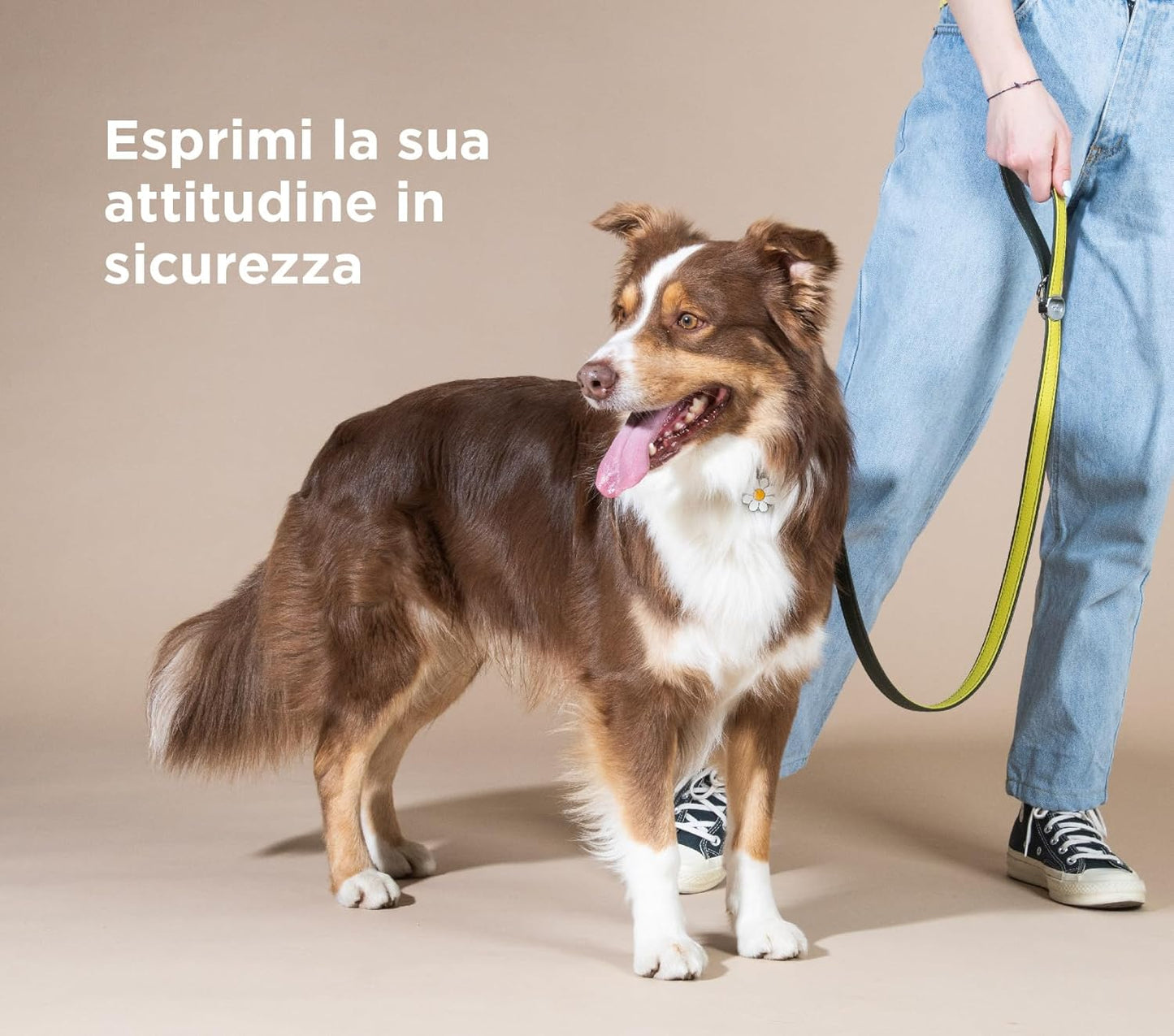 My Family Personalized Pet ID Tag Made in Italy, Medium Circle The Queen, Free Engraving, Hand Enamelled, Charms Collection