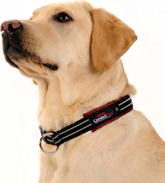 ComfortFlex Martingale Collar - Made in The USA - 1.5" Wide, Reflective, Adjustable, Fully Padded Nylon, Gentle Control, Escape-Proof, Limited Slip Design, Small, Bordeaux