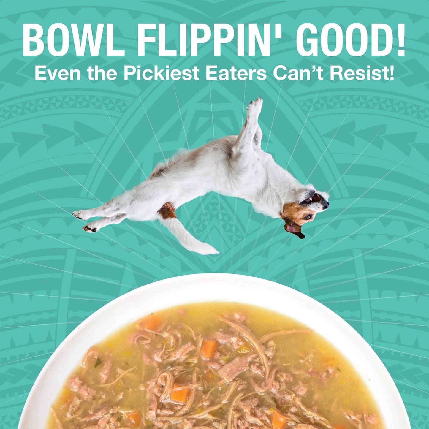 KOHA Pure Shreds Duck Entrée for Dogs, 12.5oz Cans (Pack of 12)