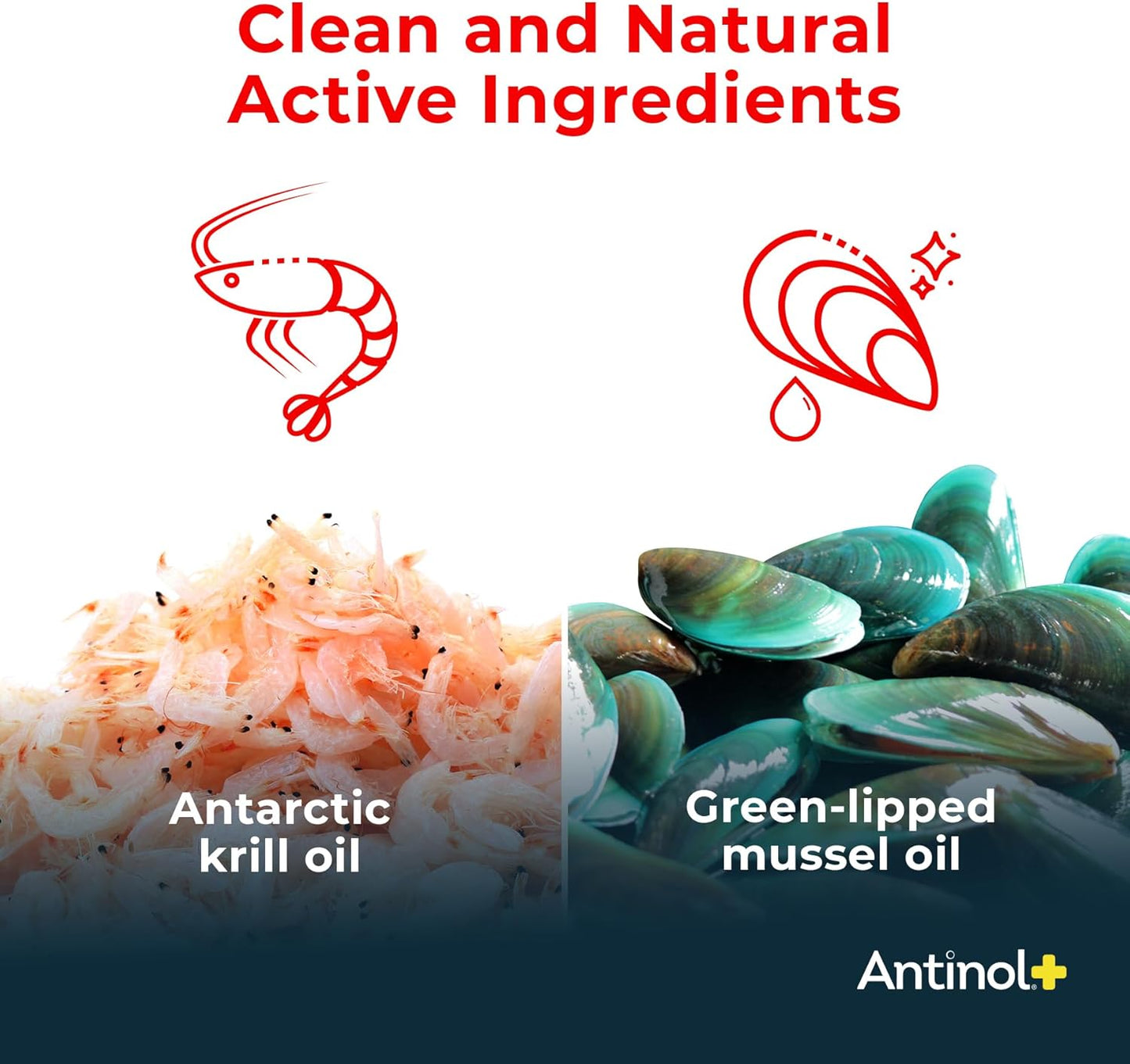 Antinol Plus, Mobility, Hip, and Joint Supplement for Cats, Green-Lipped Mussels and Krill Oil - Cat Joint Supplement, 60 Soft Gels