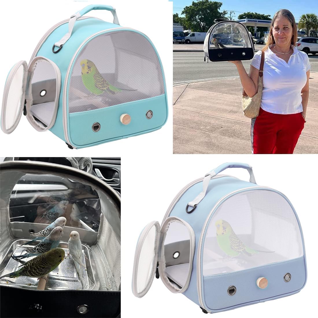 Bird Carrier, Portable Small Bird Parrot Parakeet Carrier with Standing Perch and Soft Mat, Side Access Window Collapsible