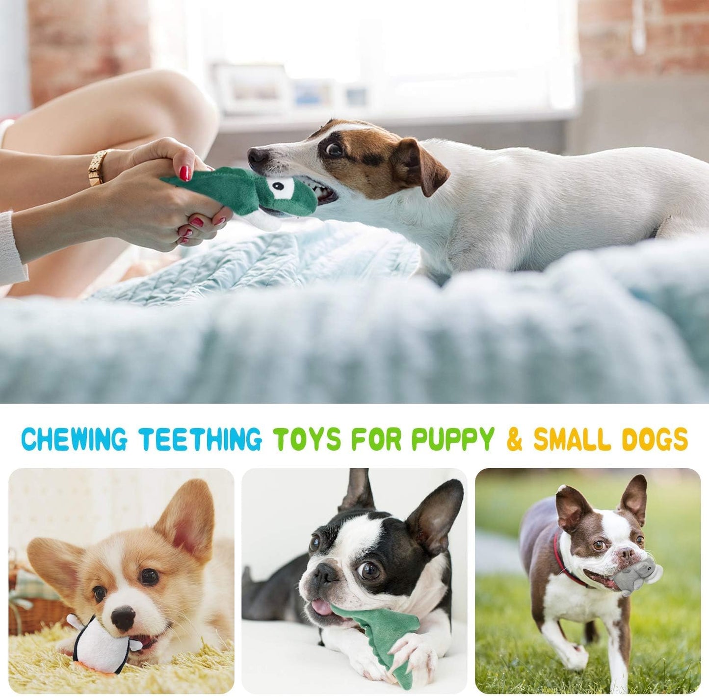 LEGEND SANDY Squeaky Dog Toys for Puppy Small Medium Dogs, Stuffed Samll Dog Toys Bulk with Plush Pet Doggie Toy Set, Cute Safe Pet Chew 12 Pack for Puppies Teething