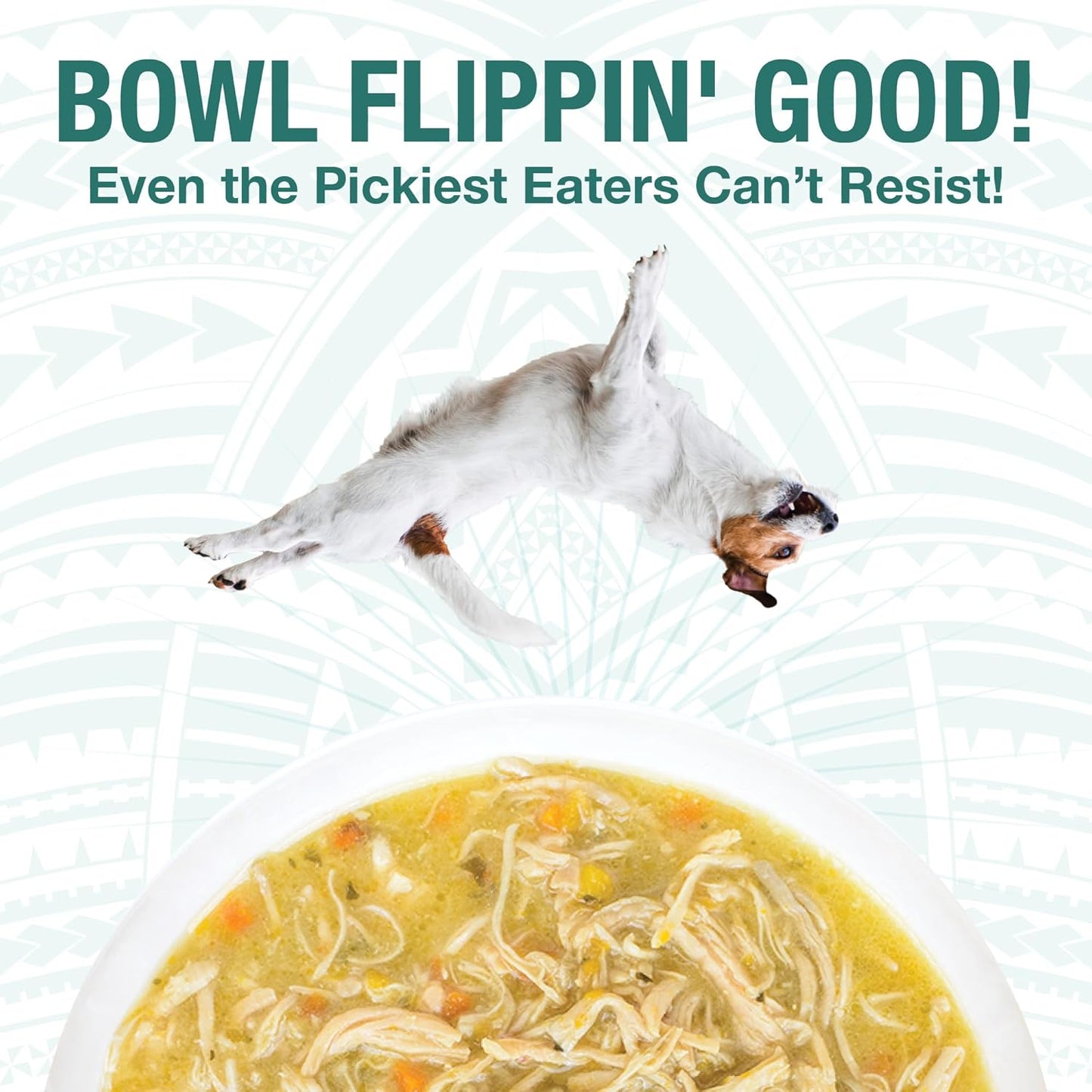 KOHA Pure Shreds Dog Food, 5 Flavors Variety Pack, Wet Food for Picky Eaters, Low Fat, High Protein, 12.5oz Cans, 2 x 6 Pack Cans