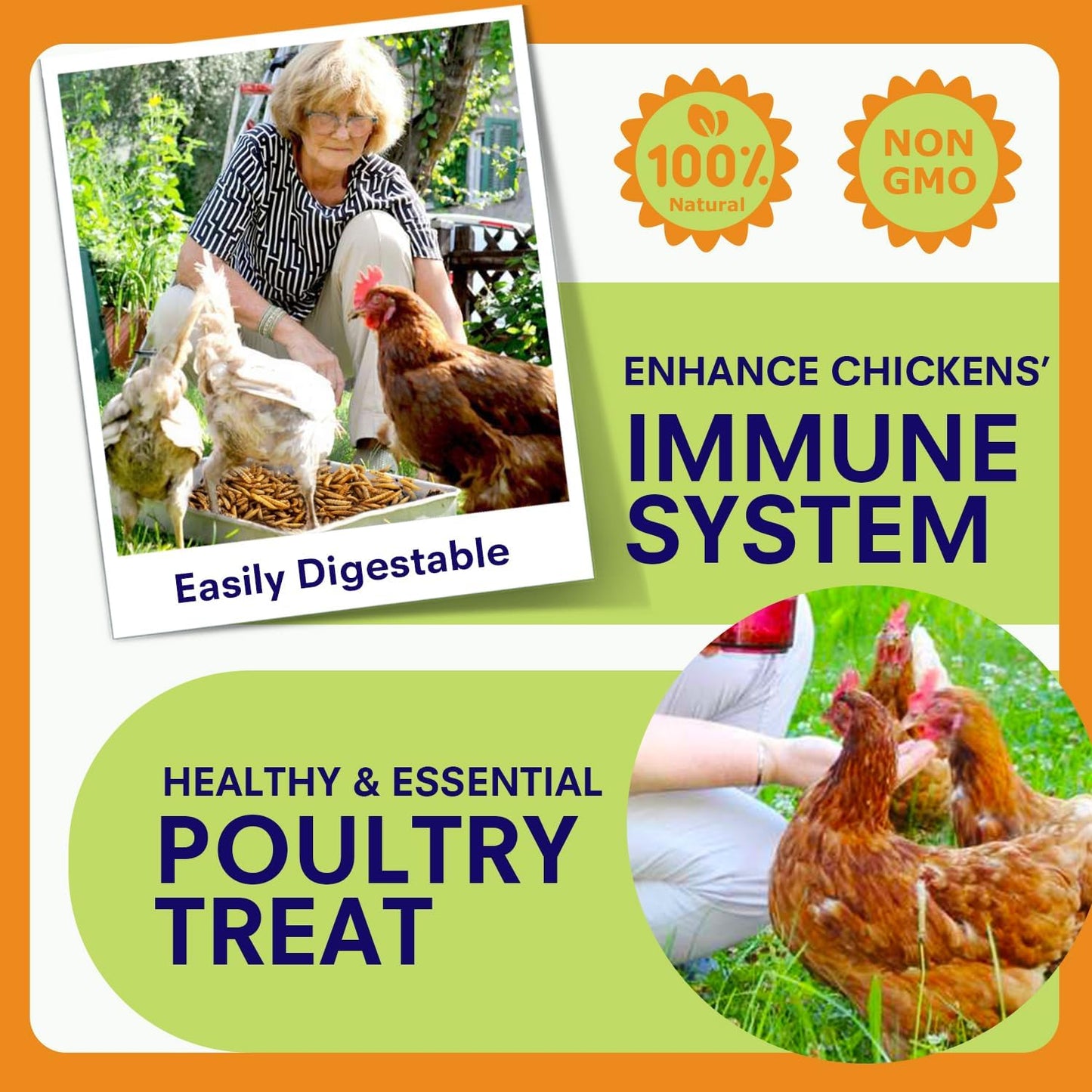 10lbs Dried Black Soldier Fly Larvae for Chickens - High Protein Chicken Food 100% Natural - BSF Larvae More Calcium Than Dried Mealworms, Chicken Treats for Laying Hens Ducks Birds