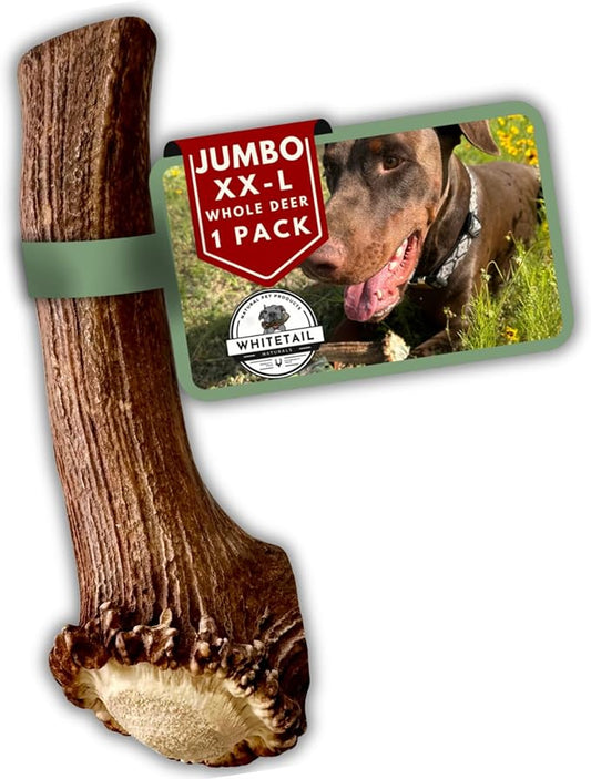 WhiteTail Naturals | Deer Antlers for Extra Large Dogs - (Jumbo-XXL) - Naturally Shed, Long Lasting Chew Bone for Aggressive Chewers