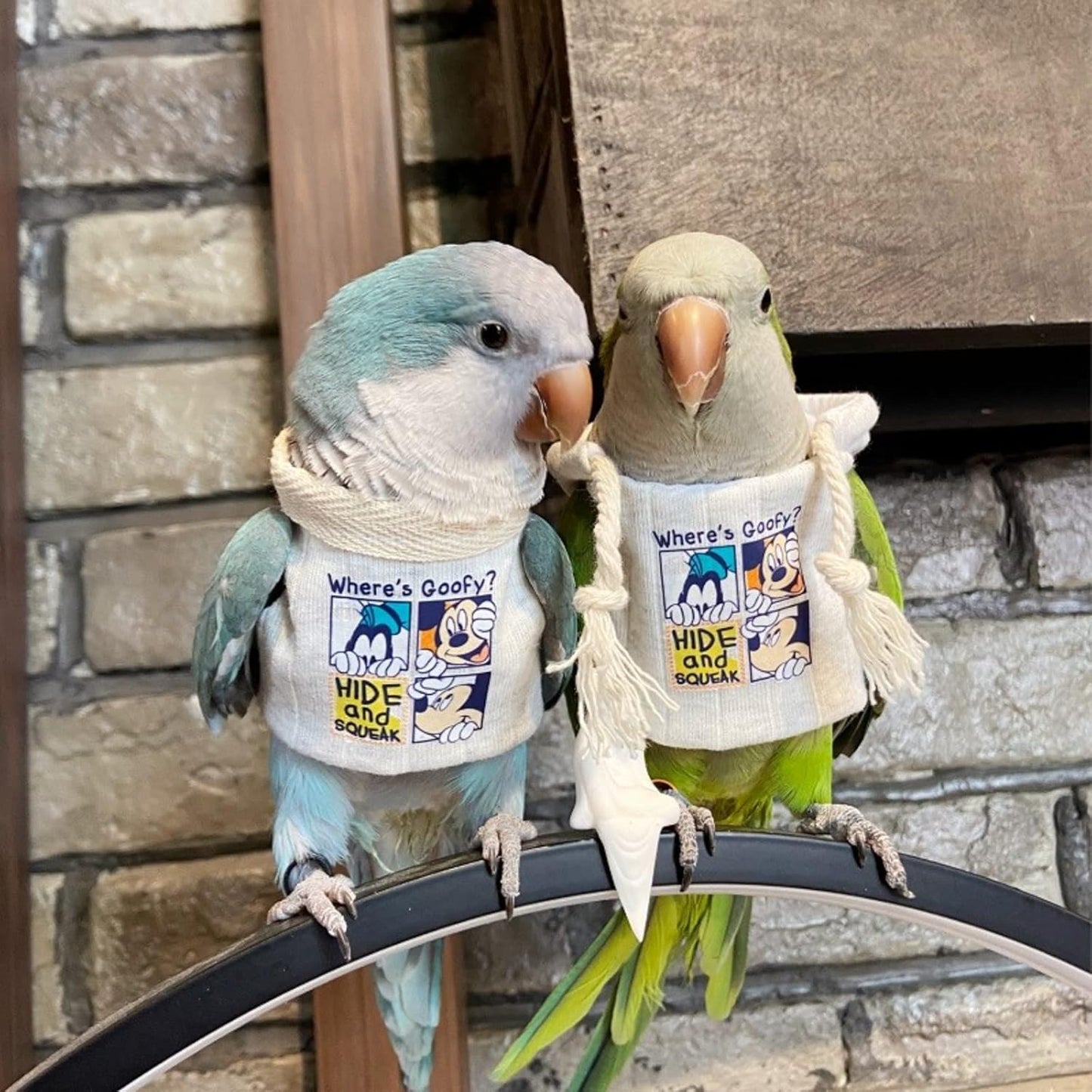 Bird Diaper Flight Suit Frog Shape Hoodie Clothes Cosplay Photo Prop for Parrots Parakeet Cockatiel Sun Conure, Small Animals Apparel (White With Hat, Small)