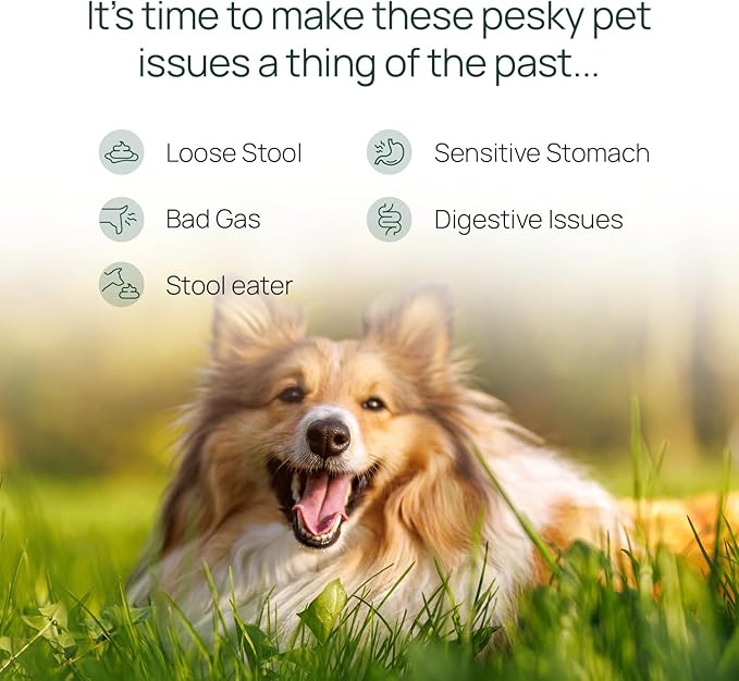 pawTree Gastro Pro Plus® for Dogs and Cats - Probiotics, Prebiotics and Digestive Enzymes - for Sensitive Stomach, Digestive Issues, Loose Stool, and Bad Gas (60 ct)