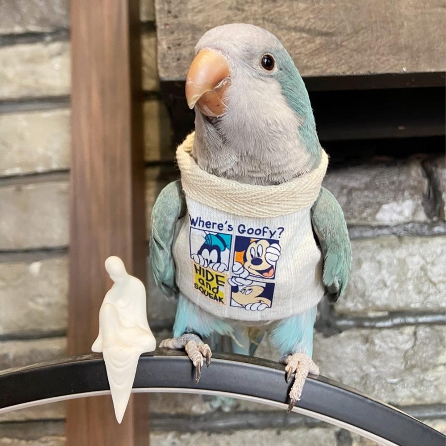 Sun Conure Bird Diaper Flight Suit Frog Shape Hoodie Cosplay Photo Prop for Parrots, Parakeet, Cockatiel - Bird Hoodie Small Animals Apparel (White Without Hat, Small)