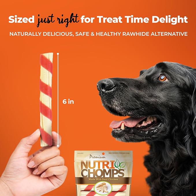 NutriChomps Dog Chews, 6-inch Twists, Easy to Digest, Long Lasting, Rawhide-Free Dog Treats, 15 Count, Real Chicken flavor