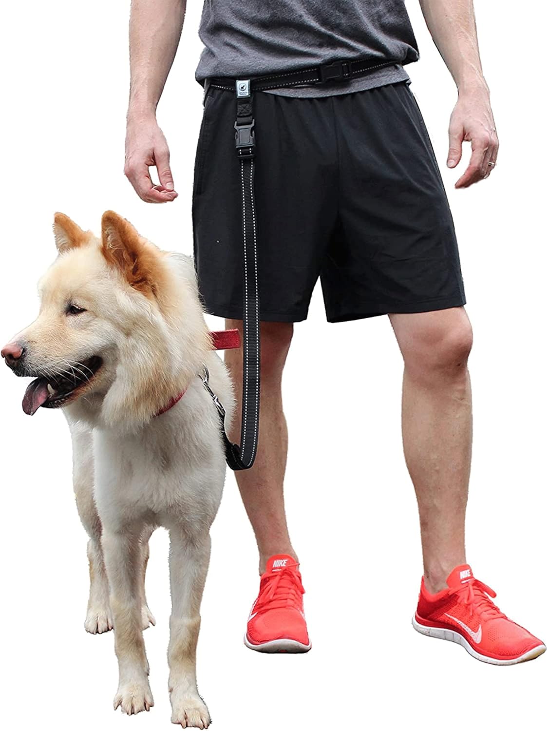 Caldwell's Pet Supply Co. Hands-Free Dog Leash, Adjustable Waist Leash for Dog Walking, Non-Bungee, Hands Free Harness, Durable and Versatile Waist Belt Leashes, Cross Body for Dogs (26" - 47")