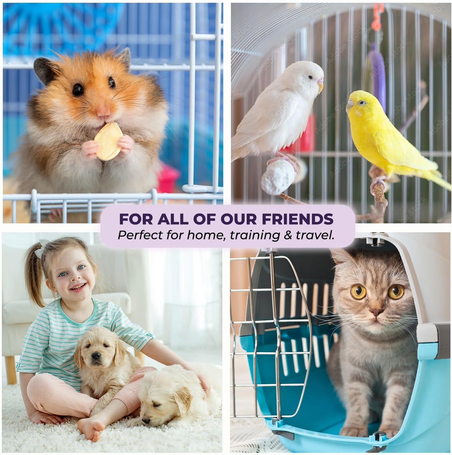 GREEN LIFESTYLE Pee Pads - Super Absorbent & Leak-Proof Pee Pads for Dogs - Puppy Pads - Waterproof Dog Pads, Lavender Scented Dog Training Pads for Cats, Rabbits (Pack of 80 - 22x22)