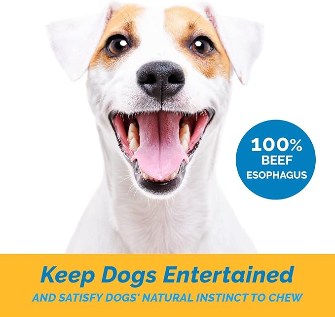 Esophagus Dog Treats (6 Inches - 25 Count) 100% Natural Gullet Sticks for Dogs Flat - Beef Jerky Dog Treats Strips Free of Preservatives, Hormones & Antibiotics
