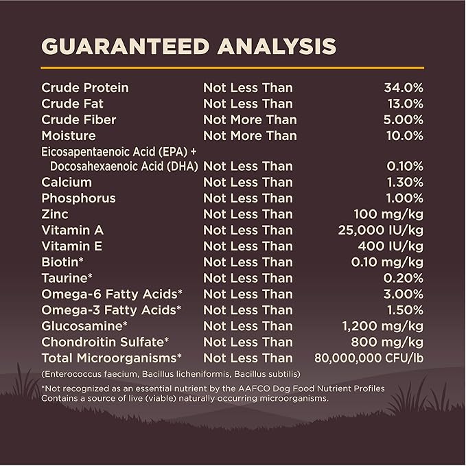 Wellness CORE Puppy Dry Dog Food, Large Breed, Grain-Free, High Protein, Natural, Chicken & Turkey Recipe (24-Pound Bag)