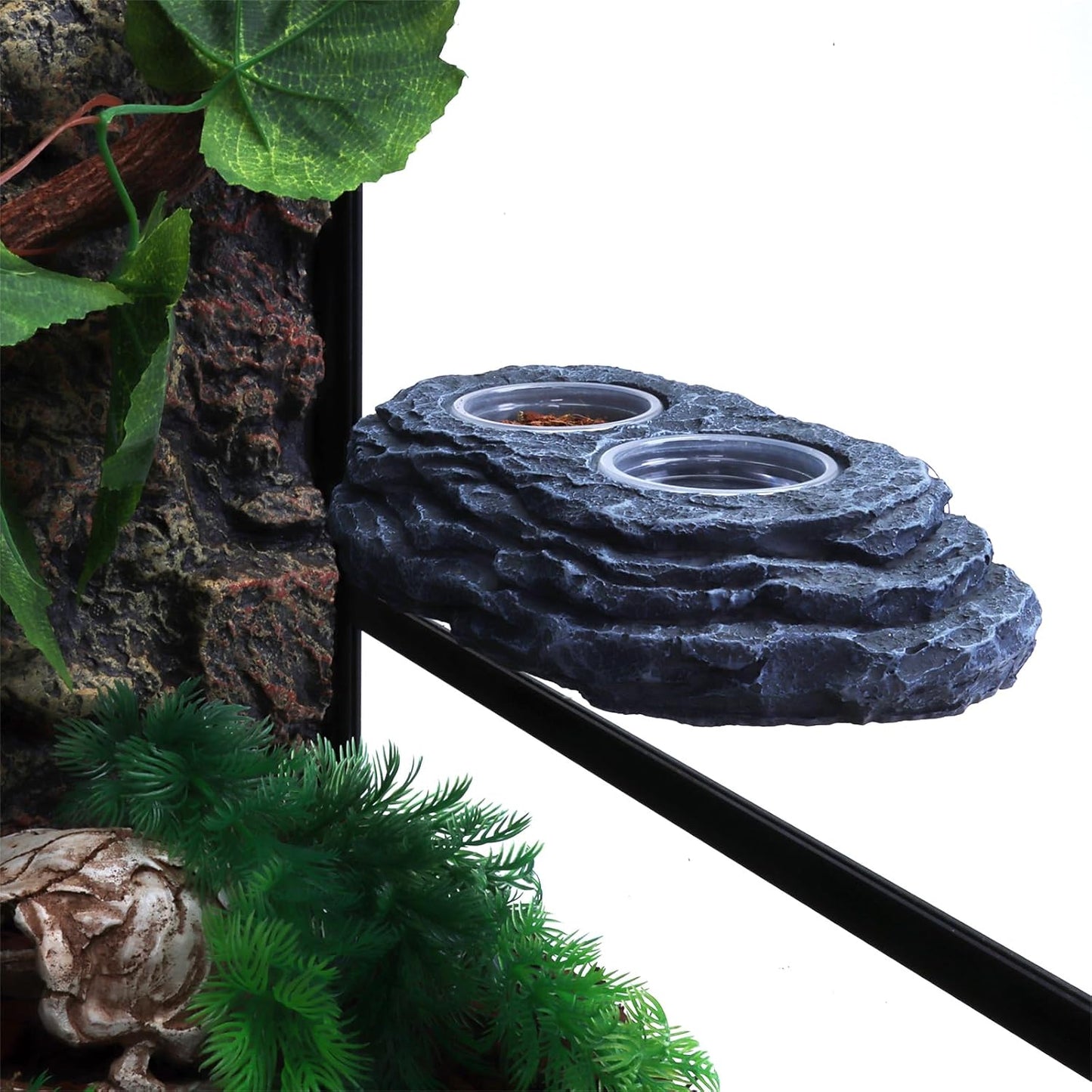 AIICIOO Crested Gecko Feeding Ledge Strong Magnetic Pet Food Bowl and Water Dish with 6 Pack Plastic Reptile Food Cups for Frog Chameleon Tortoise Lizard Pets