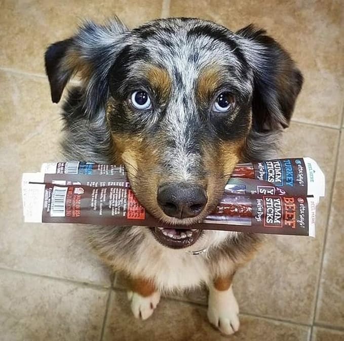 etta says! Yumm Sticks - Real Meat Jerky Dog Jerky Treats - Beef, Chicken, Pork, and Turkey Variety Pack - Human Grade - Made in The USA (12 Count Pack of 1)