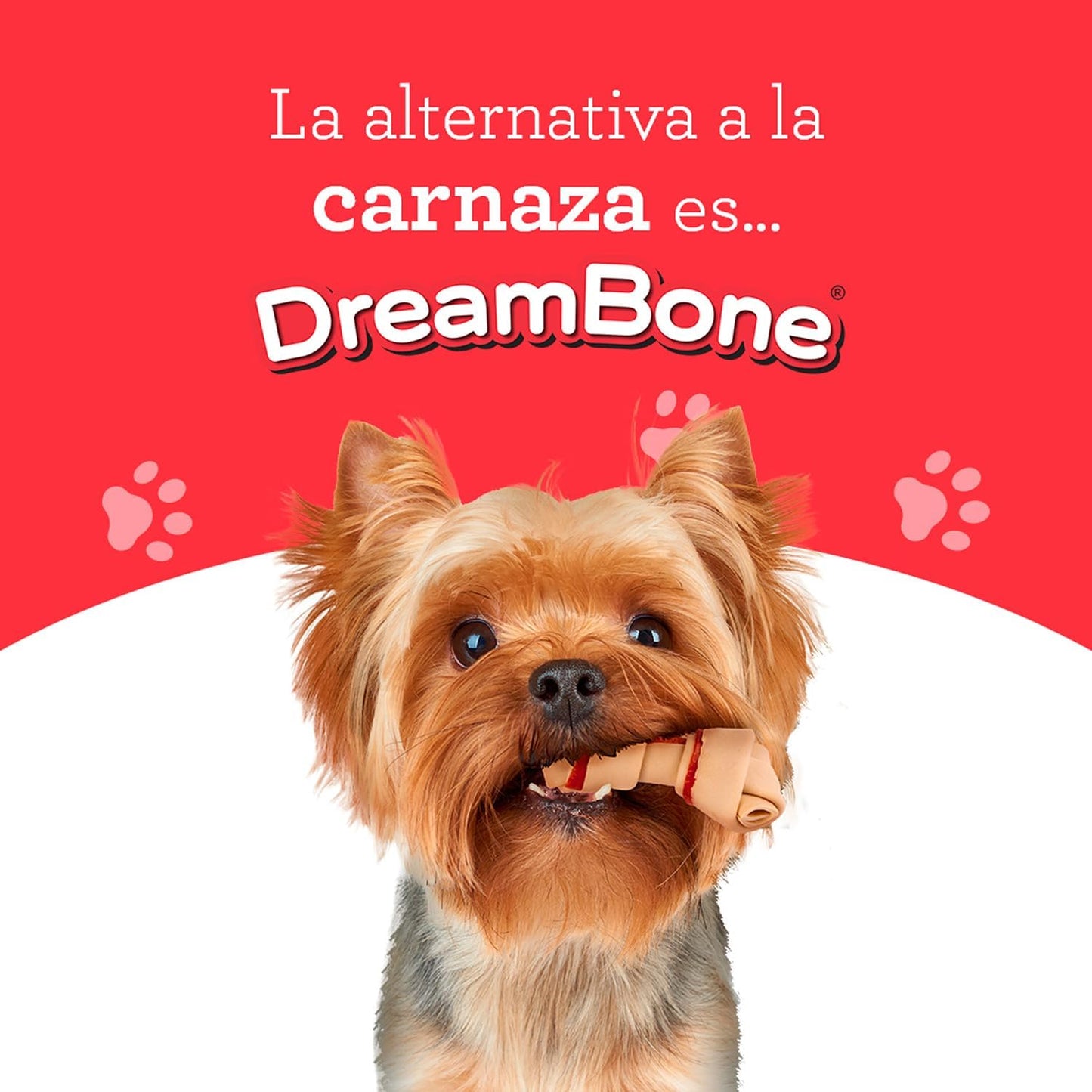 DreamBone Mini Chews, Made with Real Chicken and Vegetables, Rawhide Free Dog Chews, 8 Count