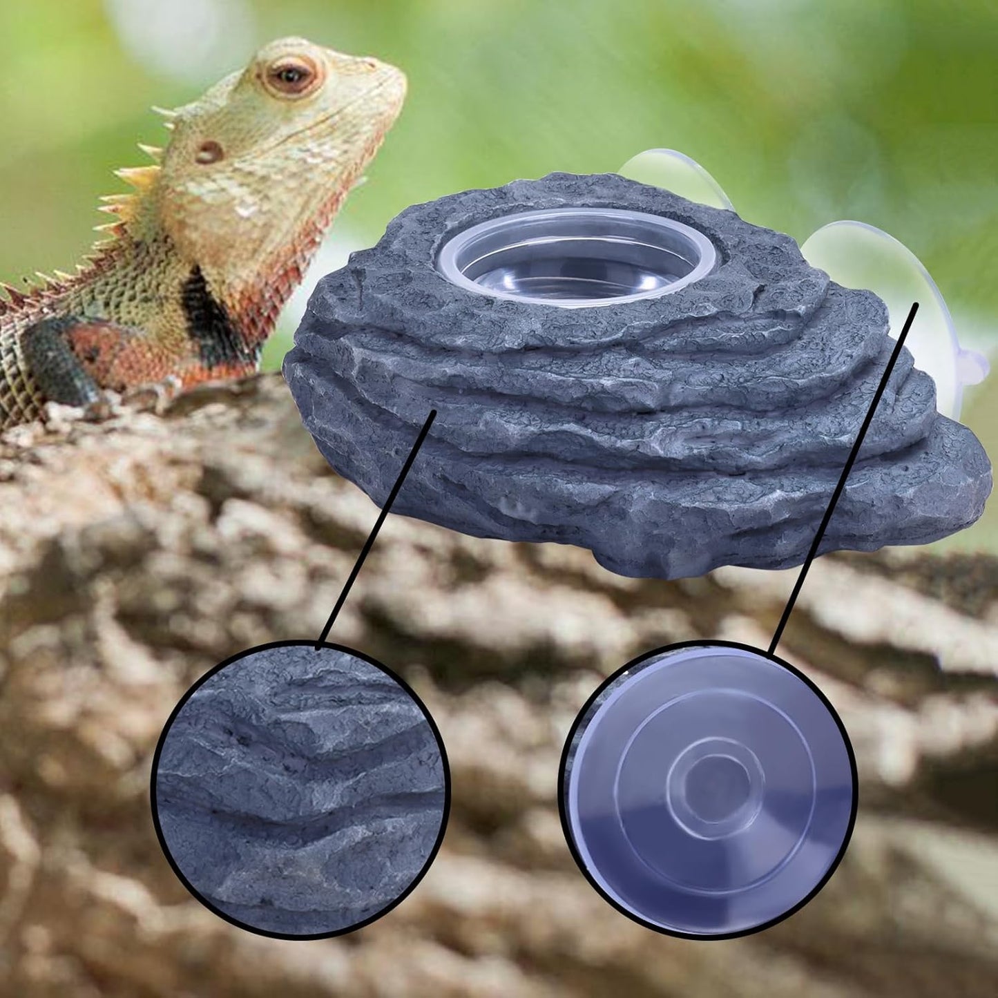 AIICIOO Crested Gecko Feeder Ledge Single Bowl Reptile Food Dish with 3PCS Reptile Feeding Cup Pet Water Dish for Bearded Dragon Snake Frog Tortoise Lizard Chameleon