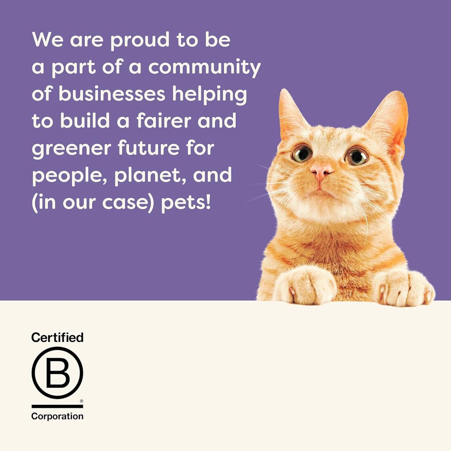 Applaws Natural Wet Cat Food in Gravy, Limited and Natural Ingredients, High Protein with No Artificial Additives, Variety Selection in Gravy (24 x 2.47oz Cans)