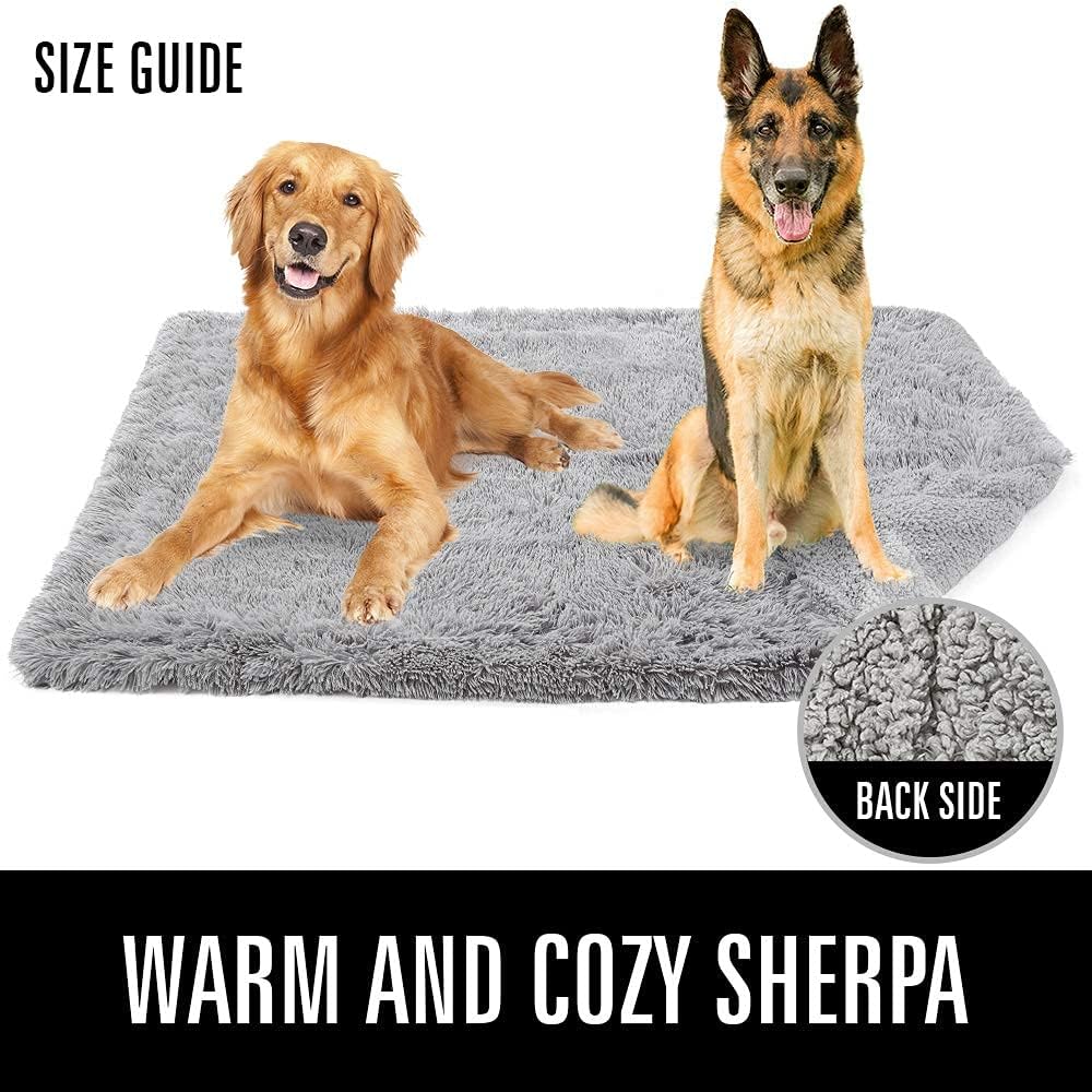 LOCHAS Luxury Fluffy Dog Blanket, Extra Soft and Warm Sherpa Fleece Pet Blankets for Dogs Cats, Plush Furry Faux Fur Puppy Throw Cover, 40''x60'' Grey