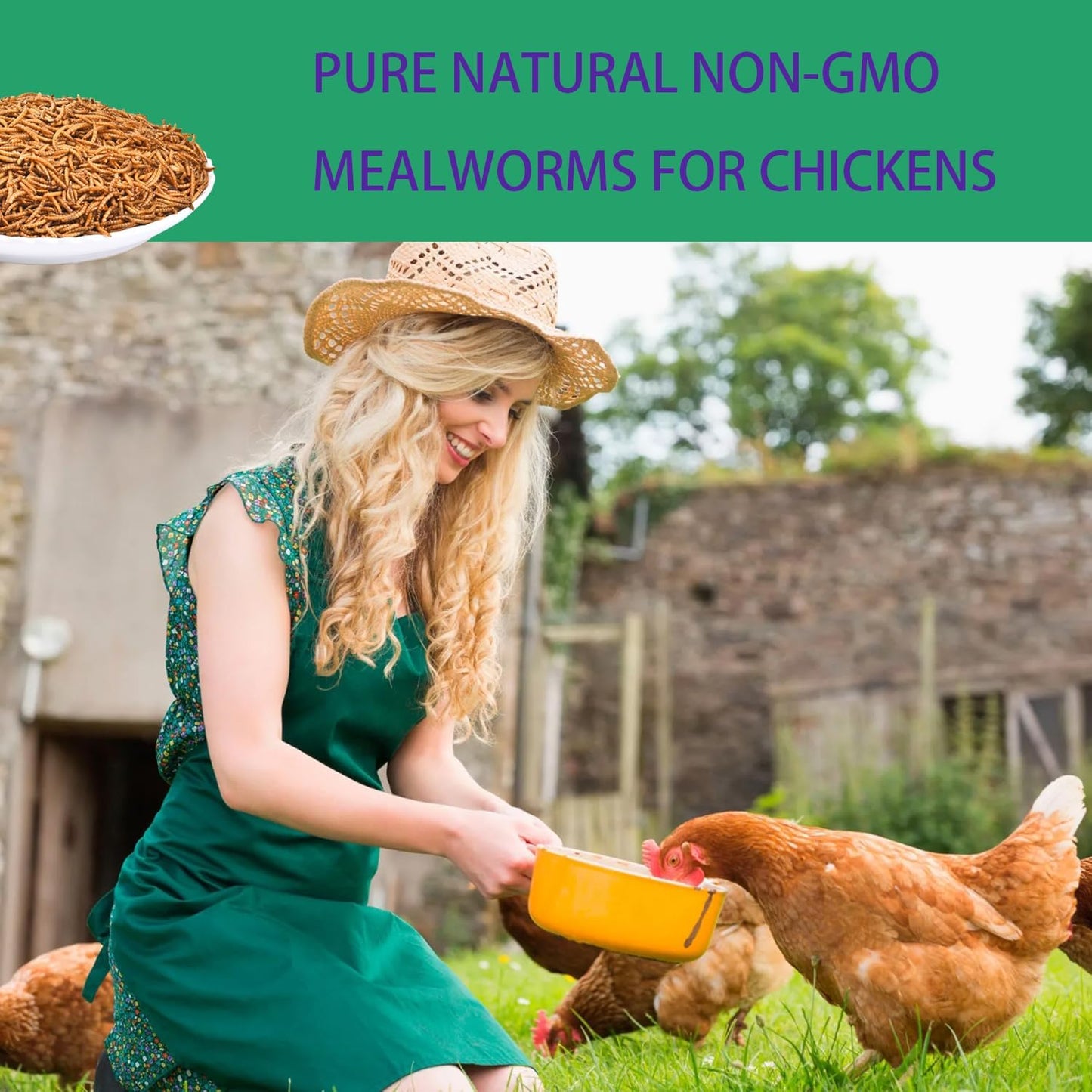 KAYHEN Dried Mealworms for Chickens 10LB Pure Natural Non-GMO High Protein Feed Meal Worms for Laying Hens Wild Birds