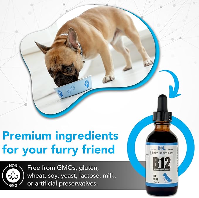 Liquid Vitamin B-12 for Dogs - Methylcobalamin Supplement for Pets - Dog Vitamins for Medium & Large Breed - Pet Vitamins and Supplements - Dog Multivitamins