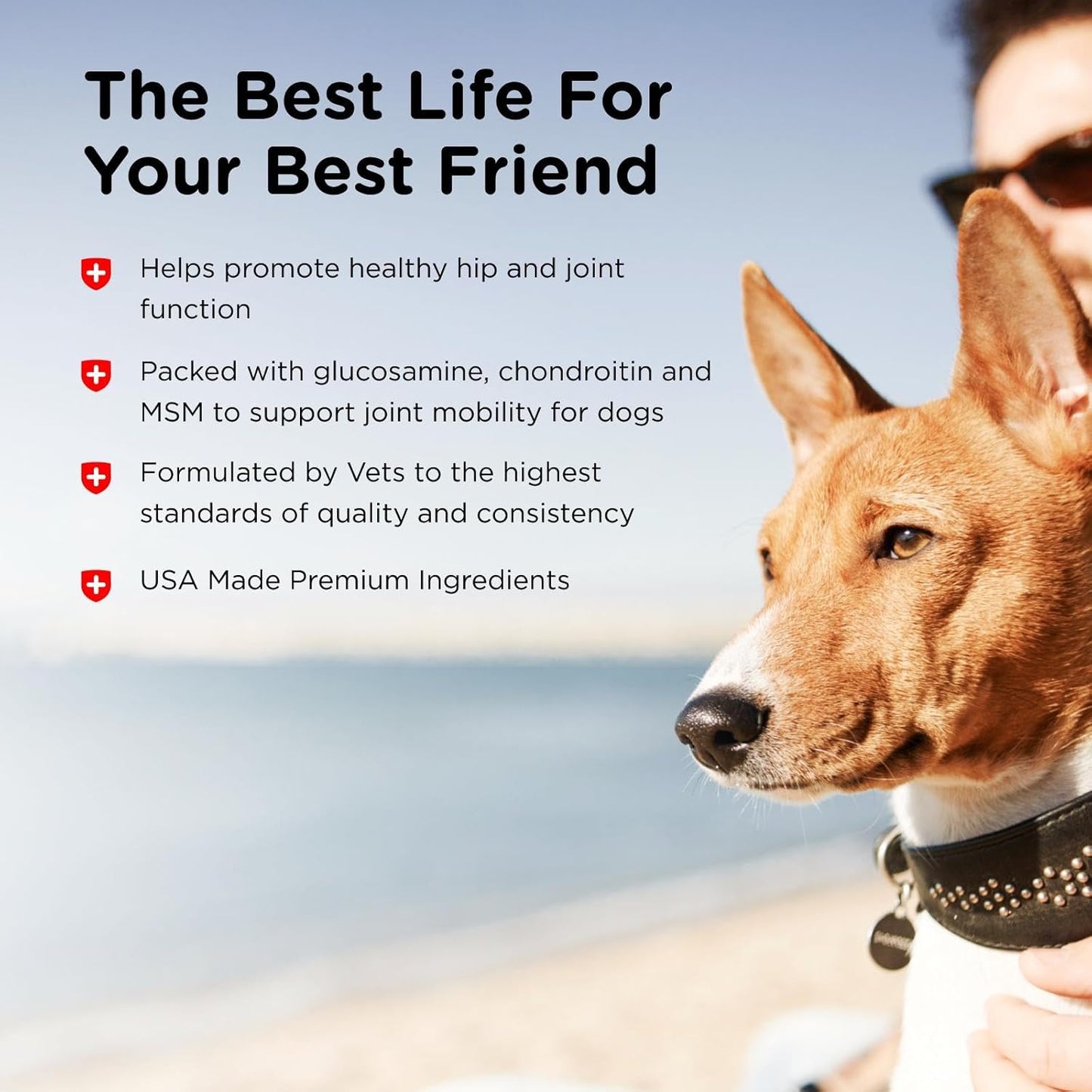 Nutri-Vet Hip & Joint Chewable Dog Supplements - Formulated with Glucosamine & Chondroitin for Dogs - 90 Count