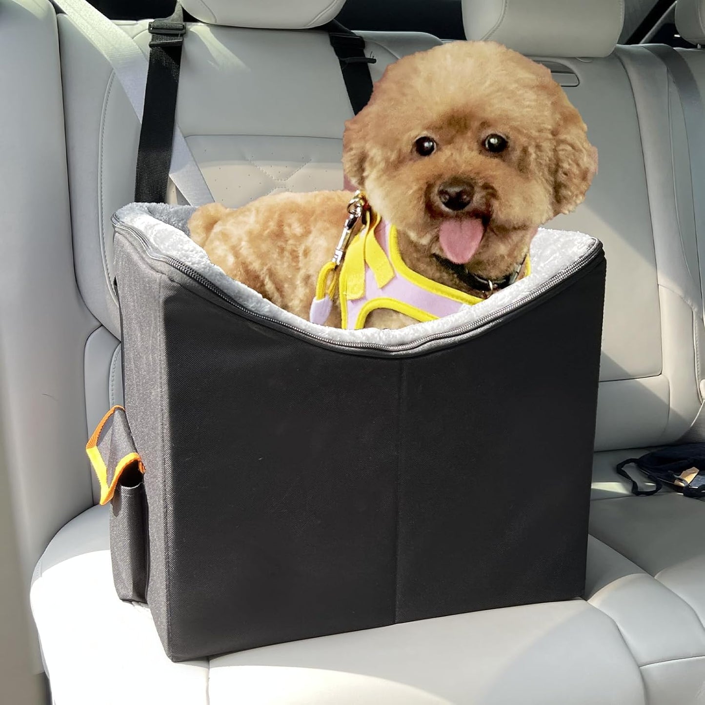 JJRING Dog Car Seat for Small Dogs, Pet Booster Seat, Elevated Dog Car Seat, Washable and Detachable Puppy Car Seat, Black