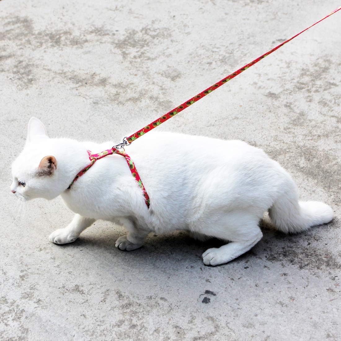 azuza Cat Harness and Leash Set, Escape Proof Adjustable Kitten Vest for Walking and Travel, Soft Lightweight Cat Carrier Harness for Small to Large Cats, Pineapple Design