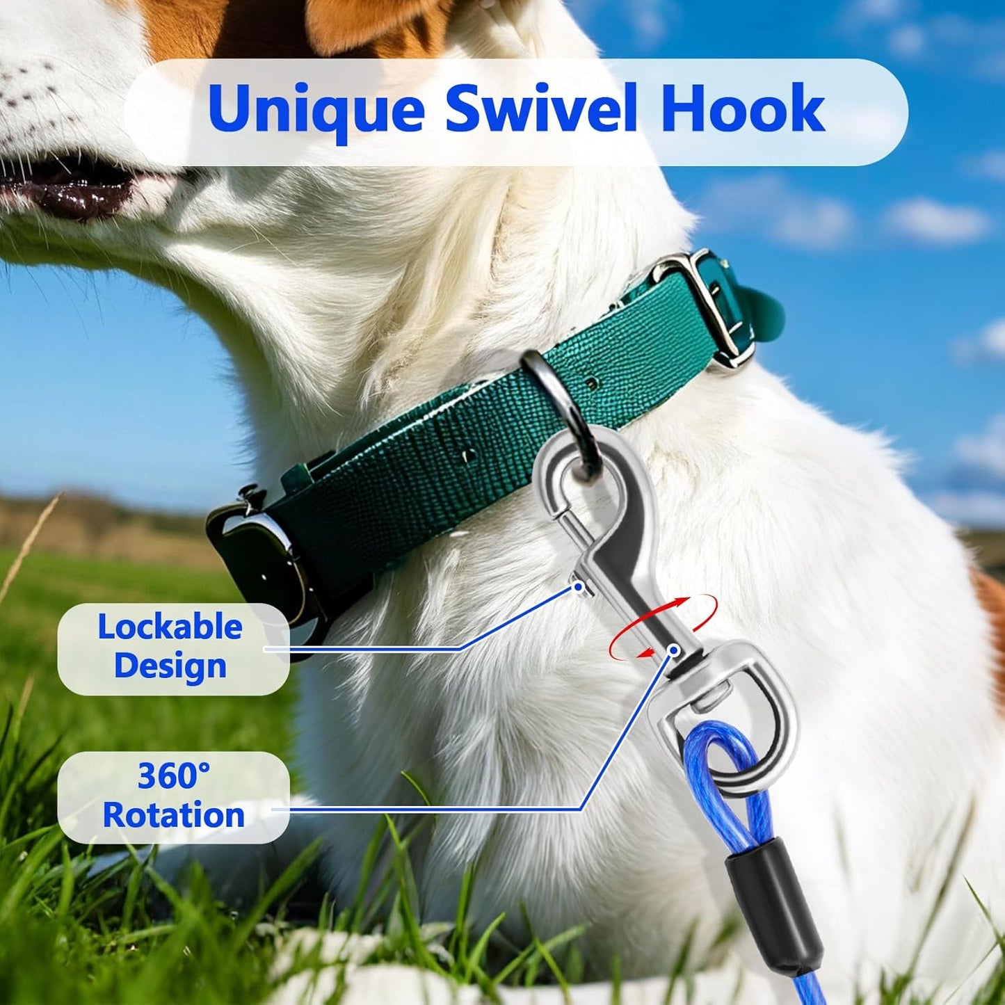 Heavy Duty Dog Tie Out Cable and Stake,30FT Rust Proof Dog Tether Leads for Yard,360°Swivel Spiral Dogs Stake&Chain Up to 200 lbs, Ground Anchor for Outdoor Beach Camping