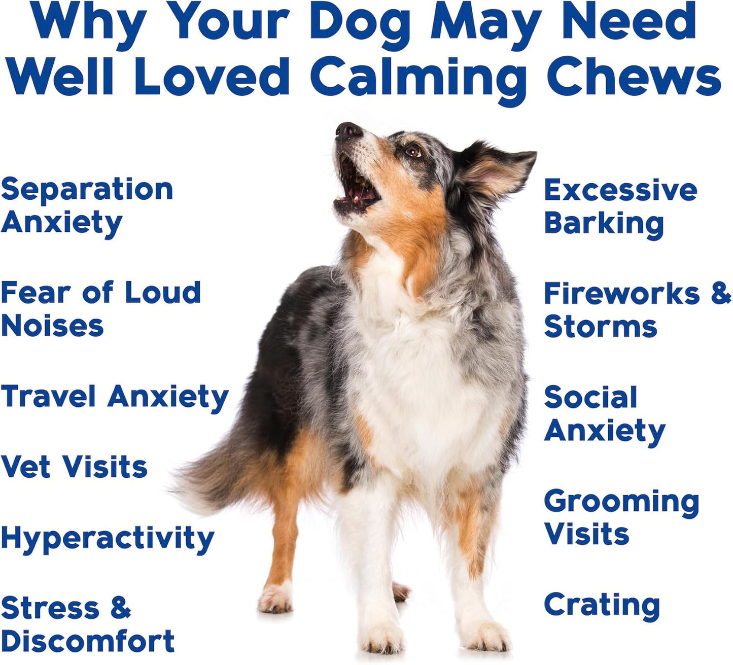 Calming Chews for Dogs - Dog Calm Treats, Made in USA, Vet Recommended, Behavior Support with Melatonin & Hemp, Stress, Separation, Fireworks, Travel, Extra Strength