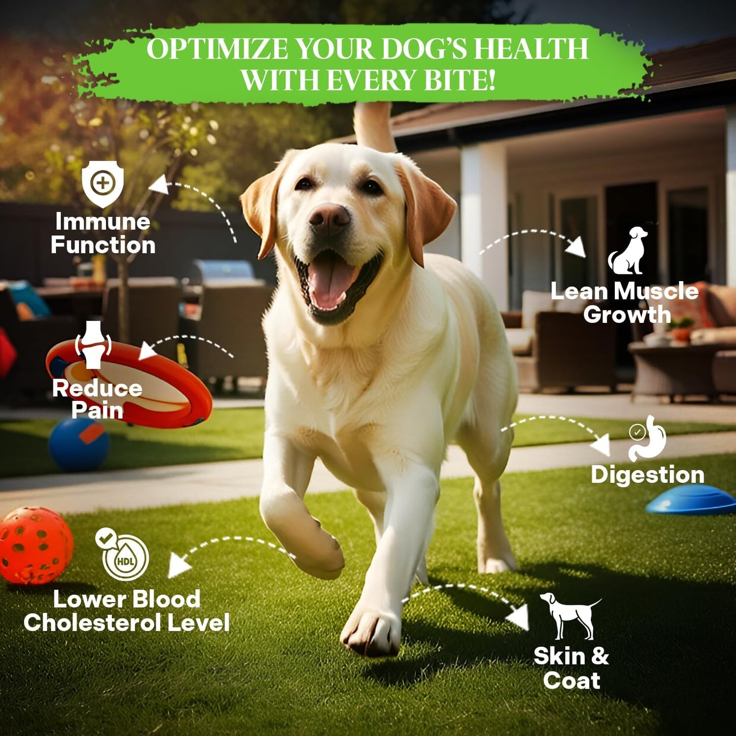 Healthy Dogma PetMix Dehydrated Lamb Dog Food, Clean Ingredient Food - No Preservatives, Homemade Food (Lamb,10 lbs)