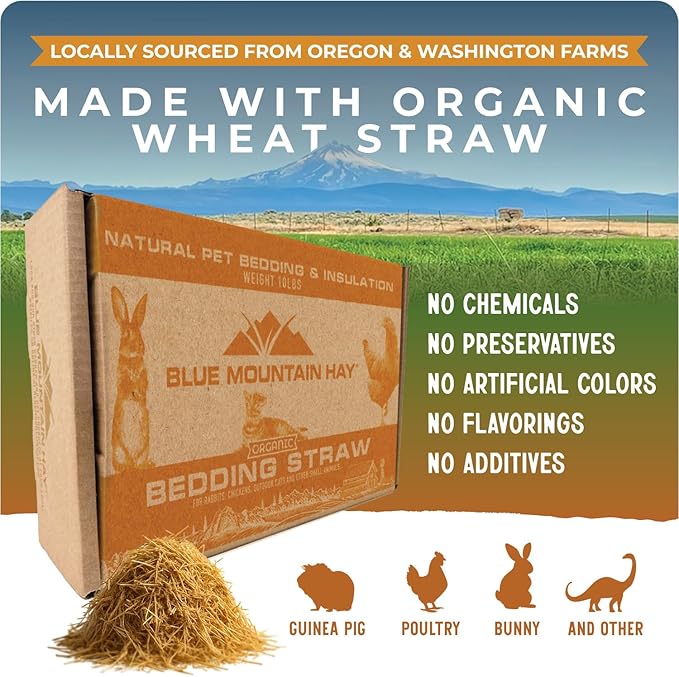 Blue Mountain Hay | Organic Bedding Straw (3 lb) | Natural Pet Bedding & Insulation for Rabbits, Guinea Pigs, Goats, Chickens, Stray & Feral Cats, and Small Animal Shelters
