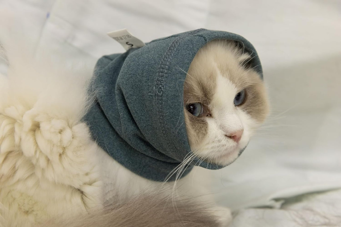 Cat Bath Accessories,Ear Wrap Pinpoint Mesh Anxiety Relief, Bath Accessories for Pet Grooming & Force Drying (Green S)