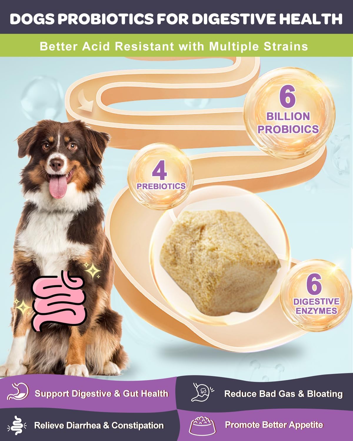 NATURE TARGET Probiotics for Dogs, 6 Billion CFUs Dog Probiotics for Digestive Health with Prebiotic and Digestive Enzymes, Rich in Omega 3 and Vitamins for Skin & Coat, Salmon-Flavored - 120 Counts