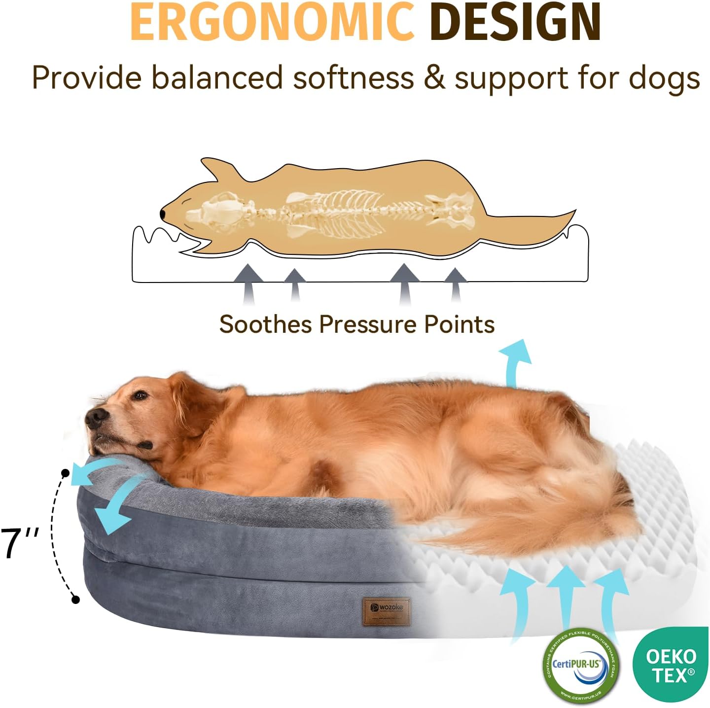 Orthopedic Waterproof Large Dog Bed: Memory Foam Washable Dog Bed with Bolsters - Removable Orthopedic Cover for Medium L XL Large Sized Pet - Non-Slip