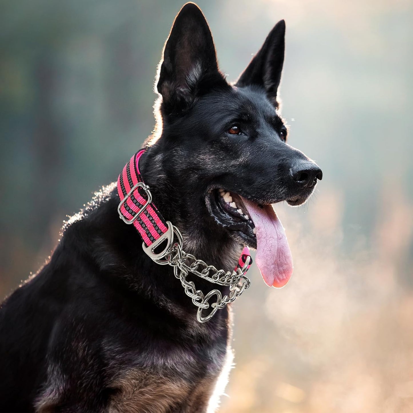 Martingale Collar for Large Dogs,Pink Reflective Collar with Night Safety Design for Large/Medium XL XXL Female Dogs Secure Pet Collars for Walking Training(Pink L)