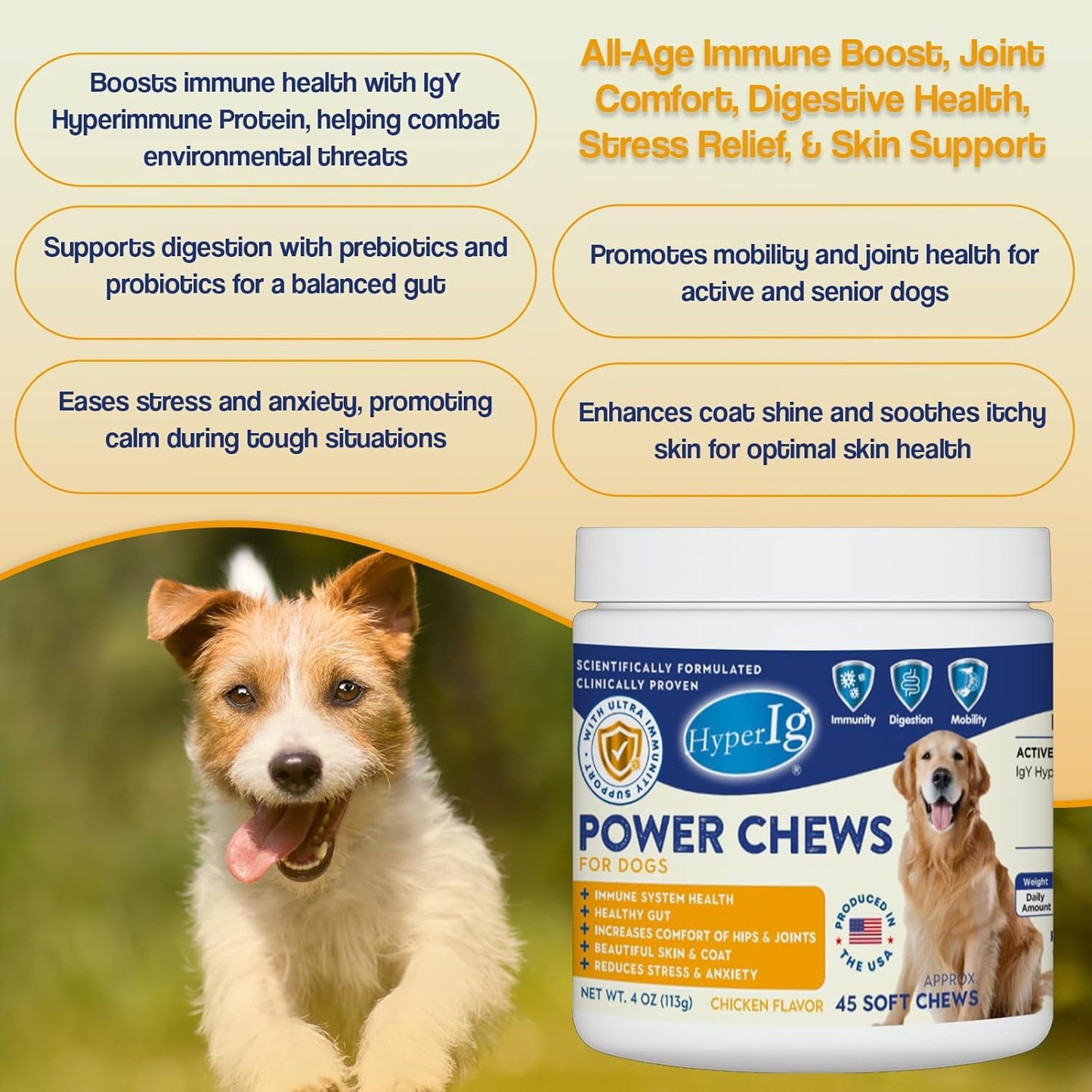 Dog Power Chews, 45 Soft Chews - Immune & Joint Support, Stress Relief, Anxiety, Skin & Coat Health, IgY Hyperimmune Protein Supplement for Mobility, Calming & Coat Health | Chicken Flavor - (113g)